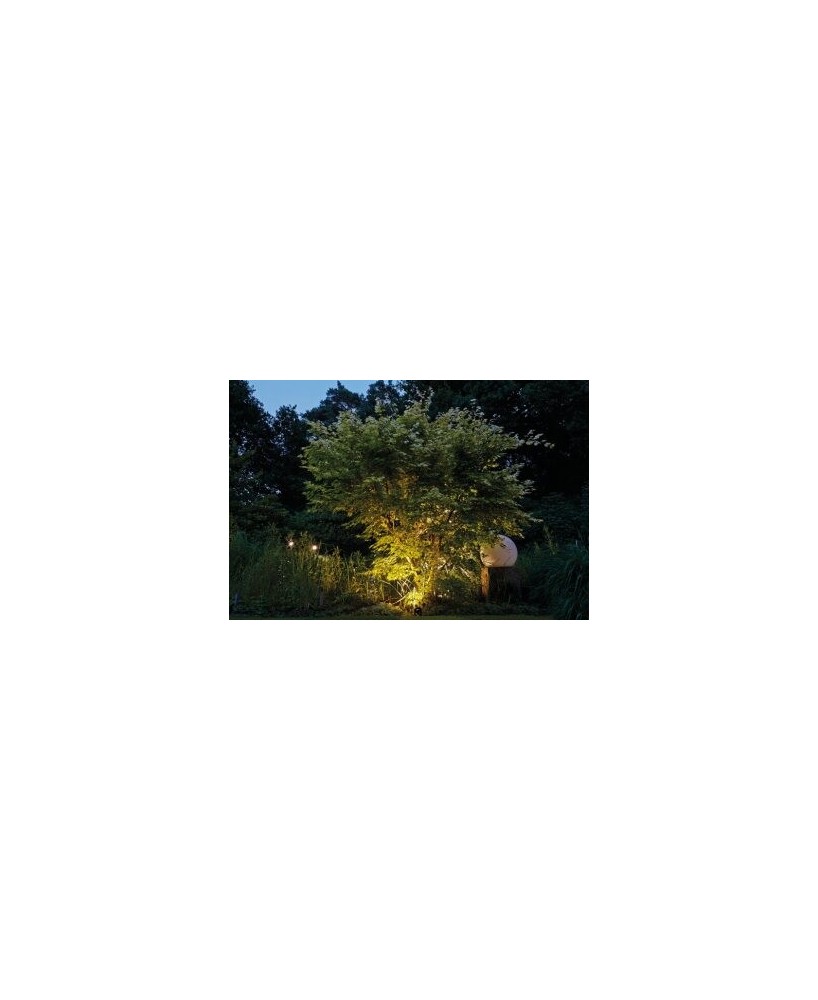 Lunaqua Power LED Set 1