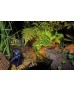 Lunaqua Power LED Set 1