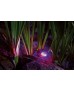 Profilux Garden LED RVB