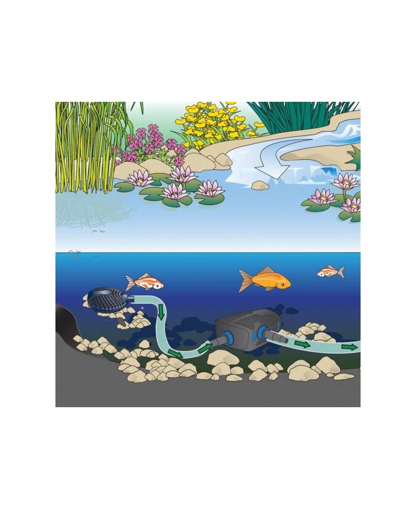 Filtre satellite Aquamax Eco