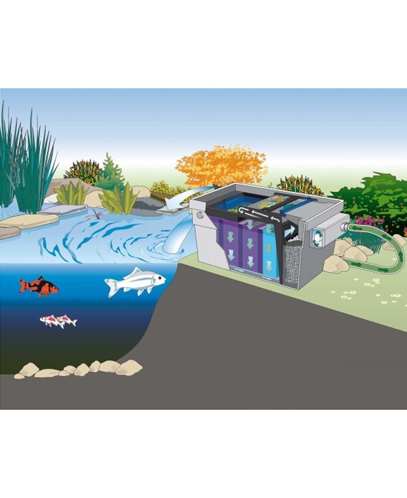 FILTRATION OASE BIOTEC SCREENMATIC CHEZ NATUR'BASSIN AU MEILLEUR PRIX!
