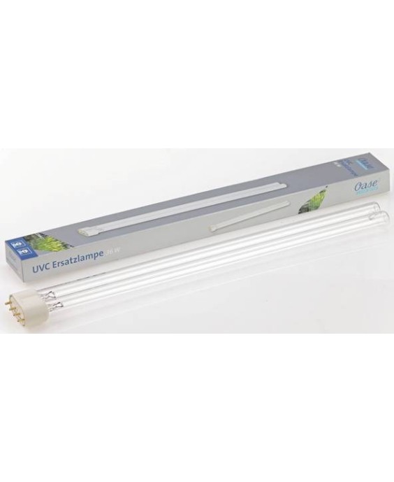 Lampe de rechange UVC 36 W