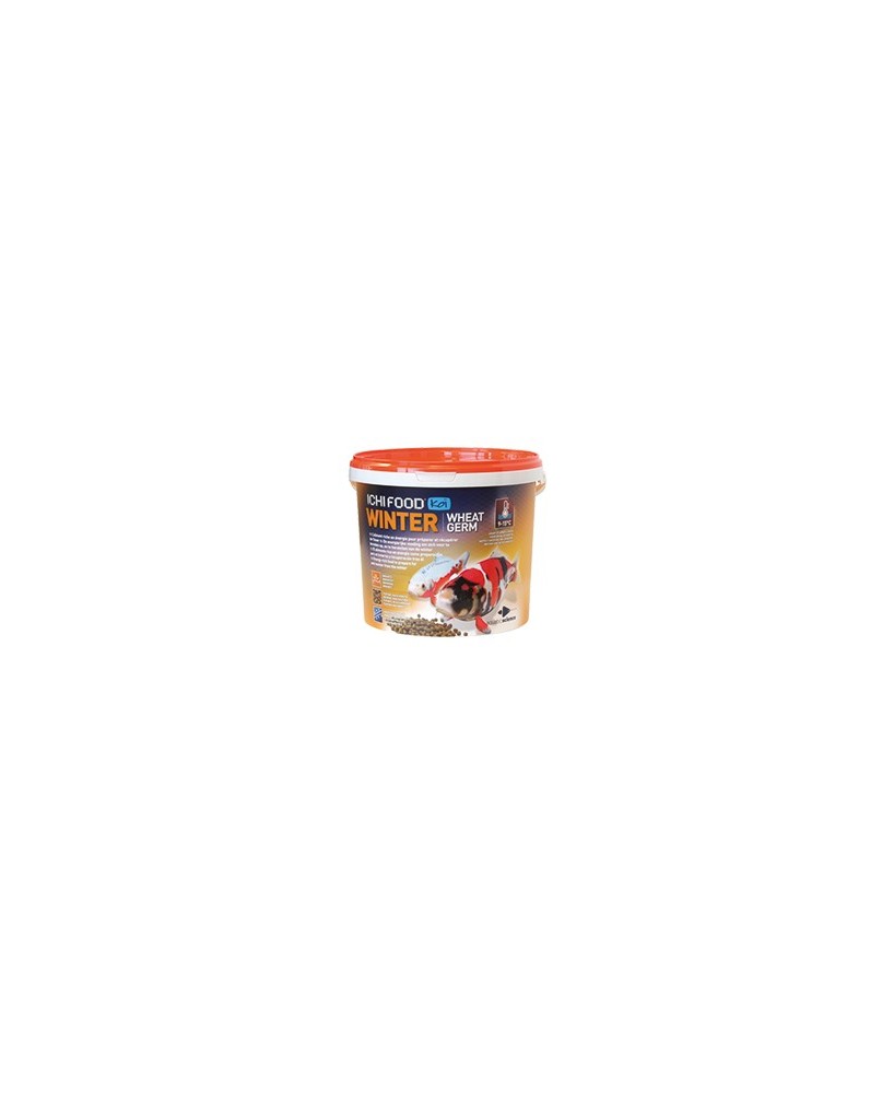 ICHI FOOD Winter medium 4-5 mm 2 Kg