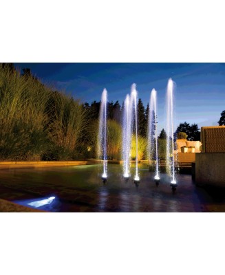 Water Quintet Creative