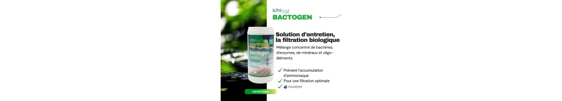 Bactogen, traitement à base de bactérie Natur'bassin