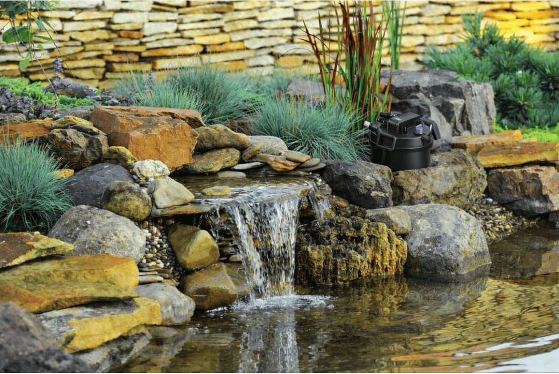 Filtre bassin oase filtoclear 60000 : avis détaillé, test pratique et comparatif complet